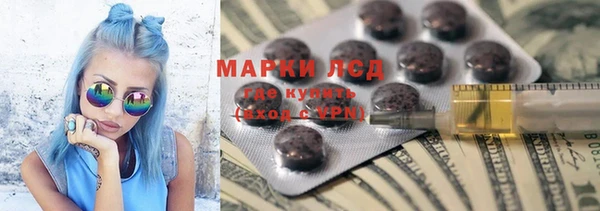 гашик Арсеньев