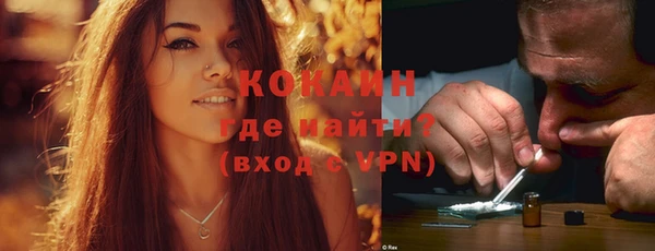 гашик Арсеньев