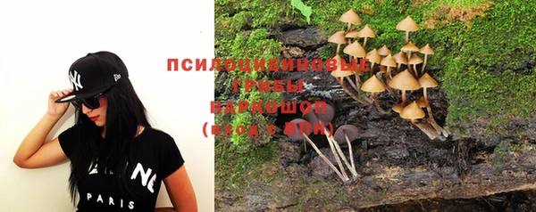 прущие крисы Аркадак