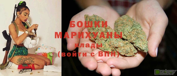 гашик Арсеньев